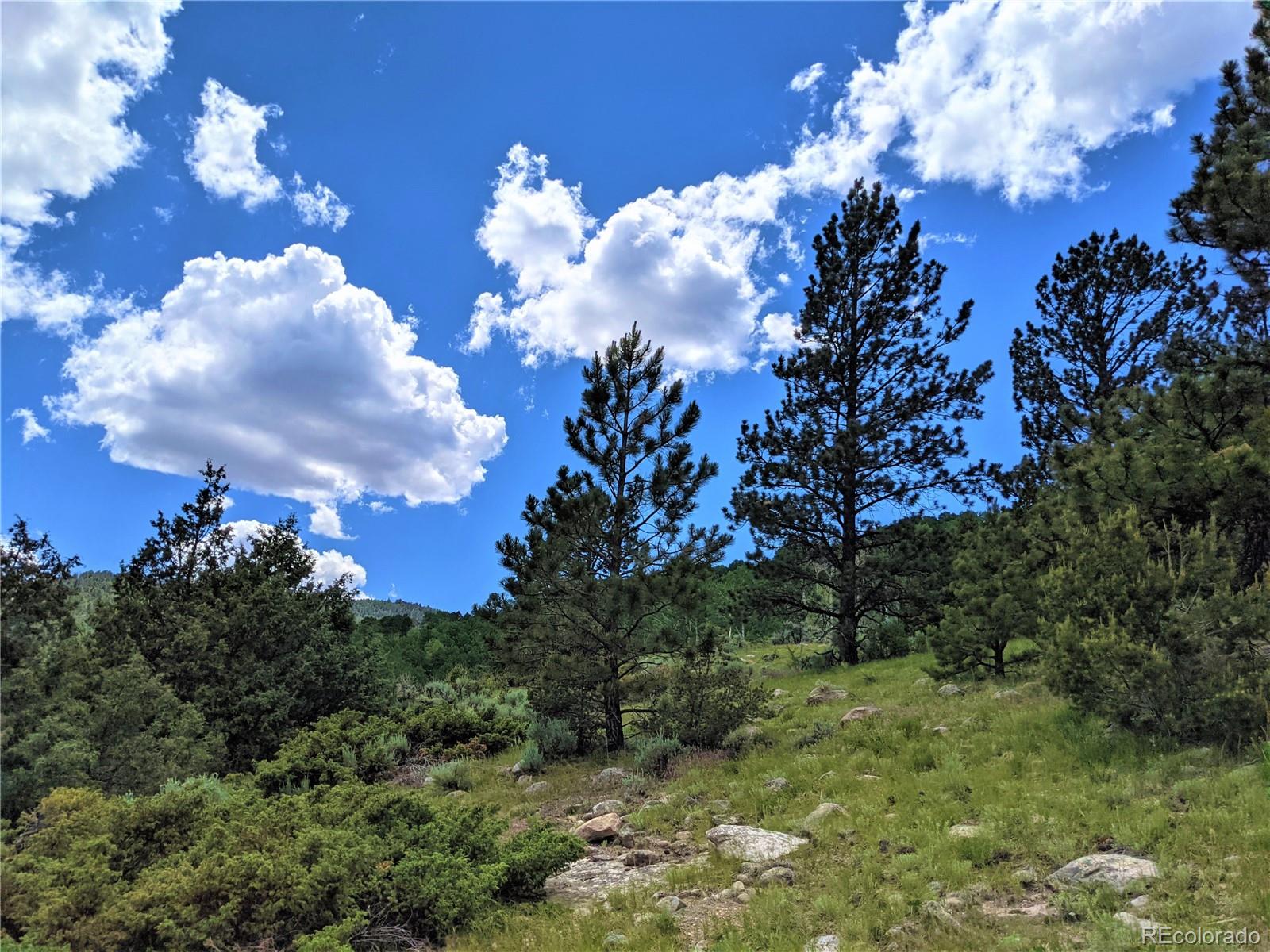 6467 Malcolm Road San Luis, CO 81152 - Photo 1 of 24 Gallery Image 1
