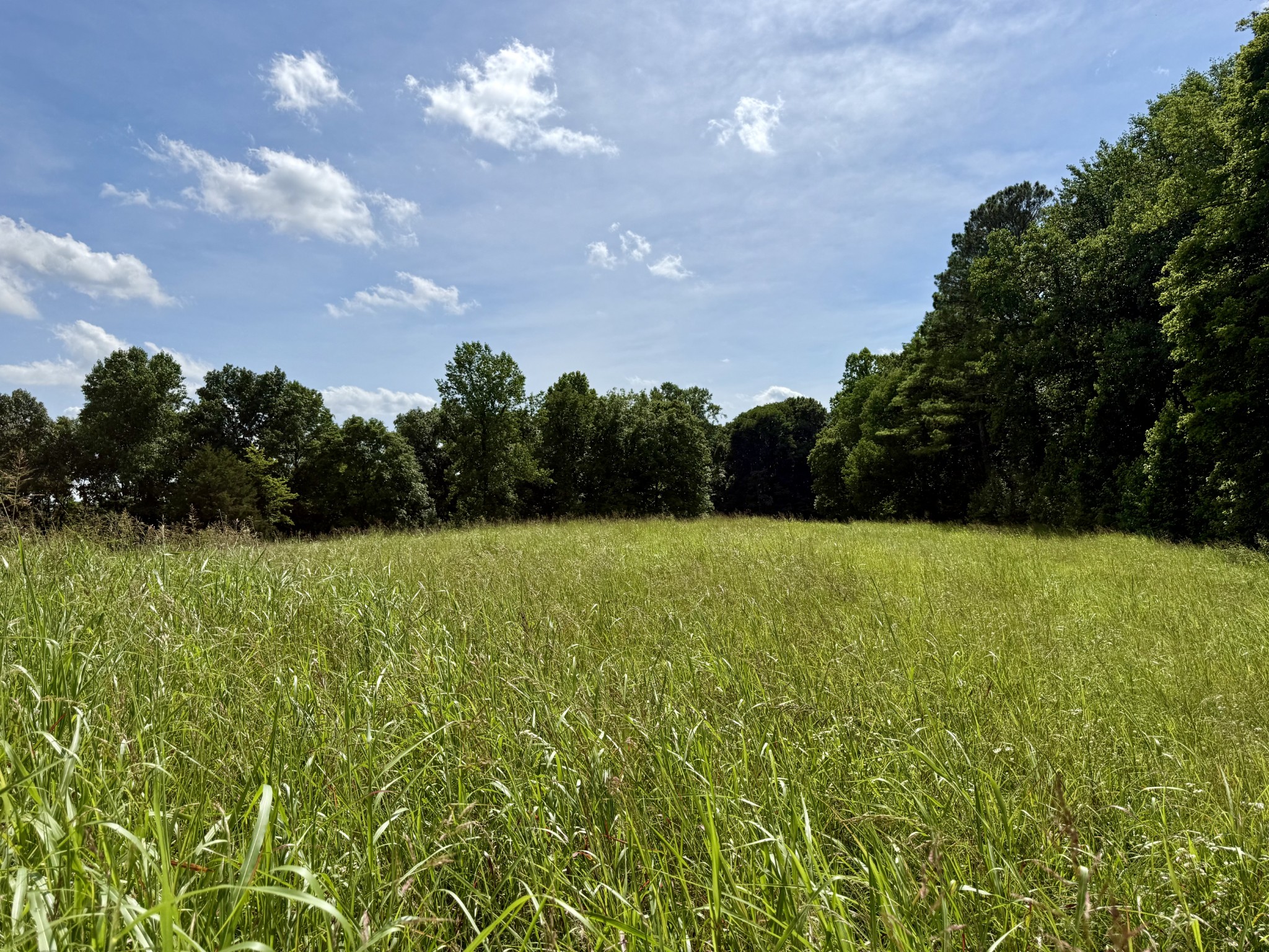 59 Hardin Loop Westpoint, TN 38486 - Photo 53 of 74