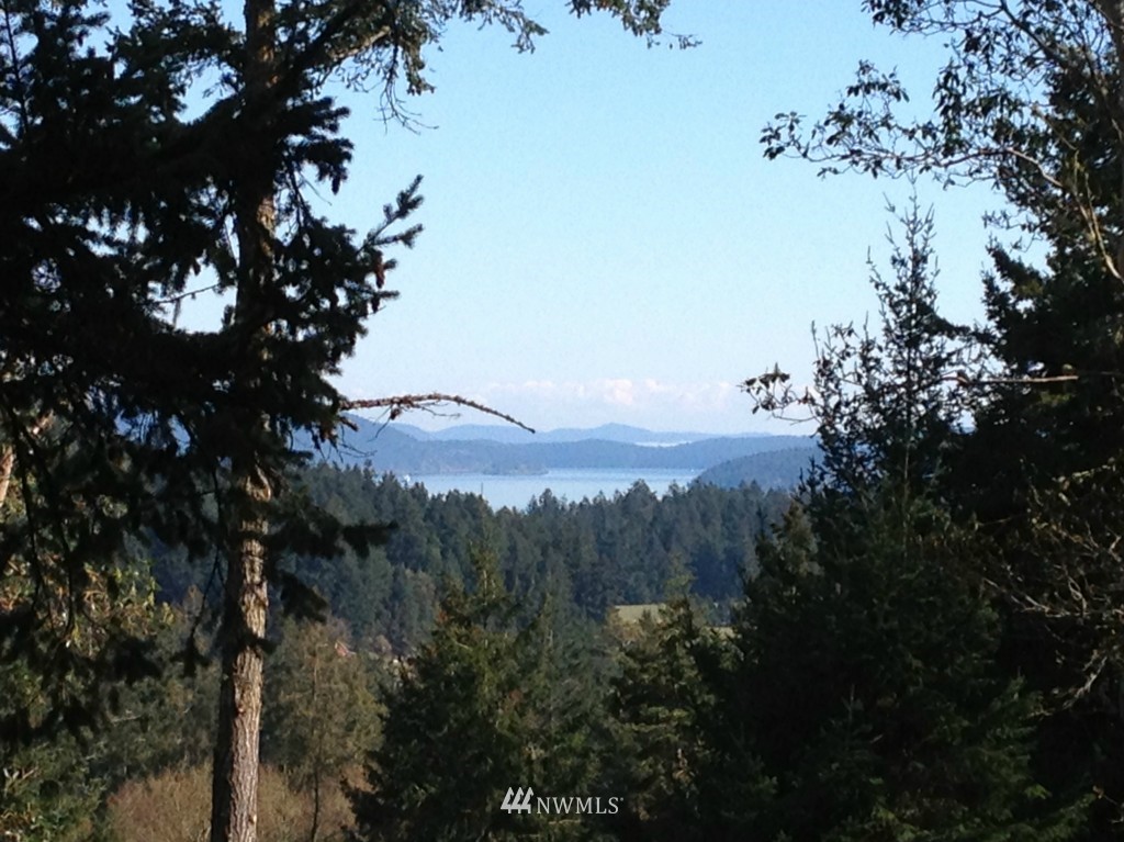 0 Scott Hill Road Orcas Island, WA 98280 - Photo 1 of 6 Gallery Image 1
