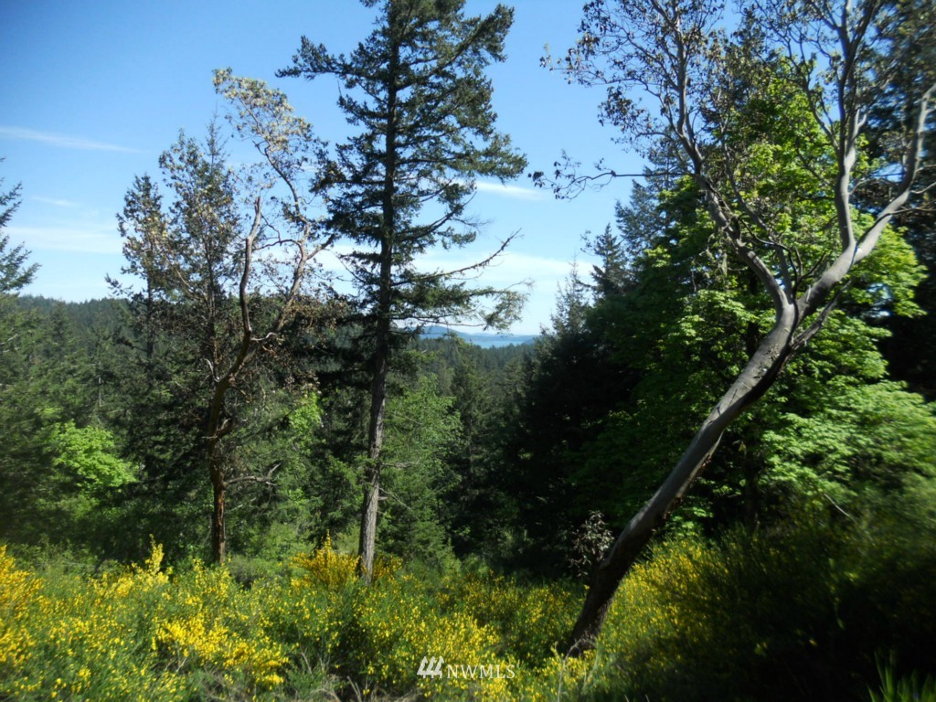 0 Scott Hill Road Orcas Island, WA 98280 - Photo 2 of 6 Gallery Image 2