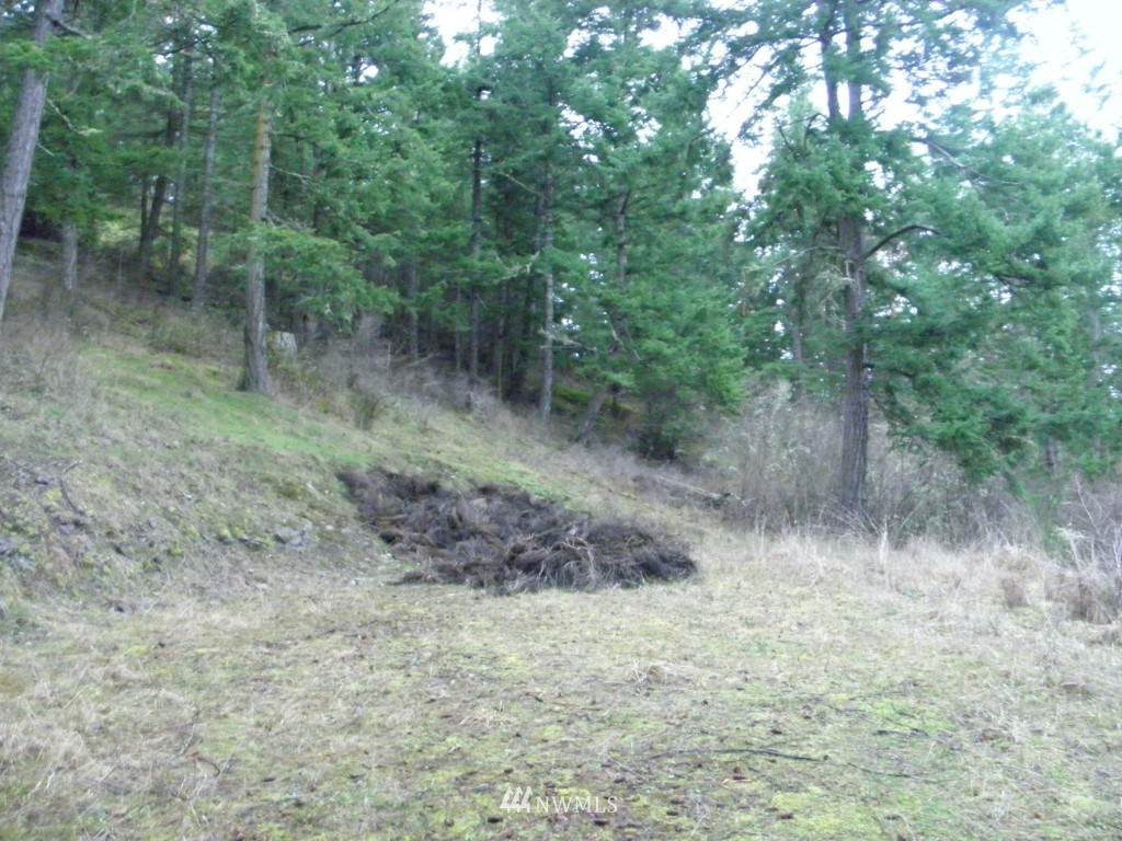 0 Scott Hill Road Orcas Island, WA 98280 - Photo 3 of 6 Gallery Image 3
