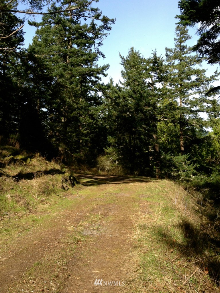 0 Scott Hill Road Orcas Island, WA 98280 - Photo 4 of 6 Gallery Image 4