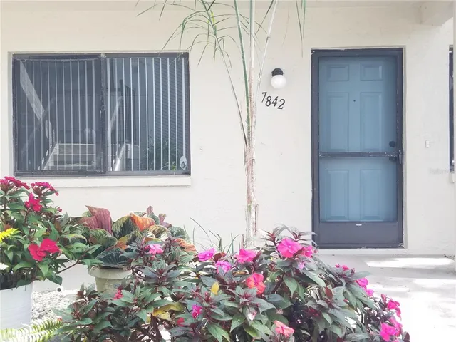 a pink flowers in front of a door