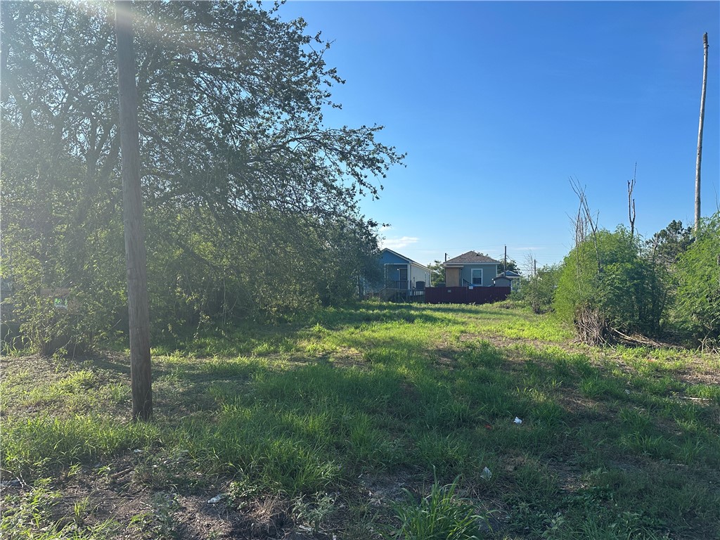 910 Indiana Street Robstown, TX 78380 - Photo 2 of 3