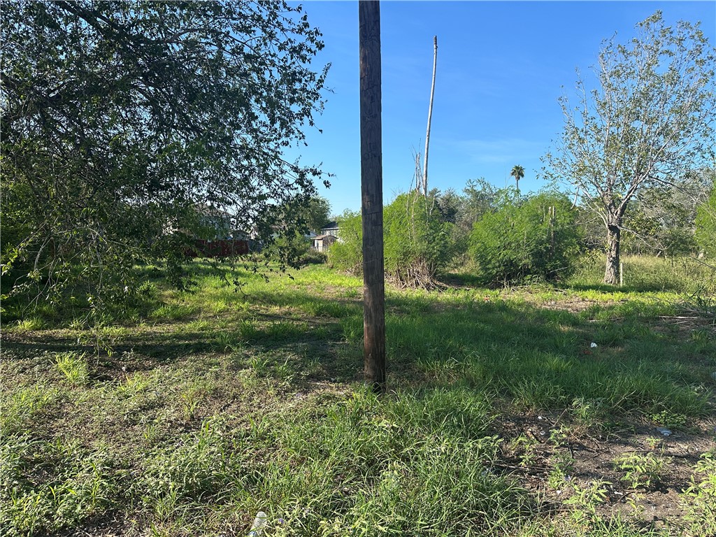 910 Indiana Street Robstown, TX 78380 - Photo 3 of 3