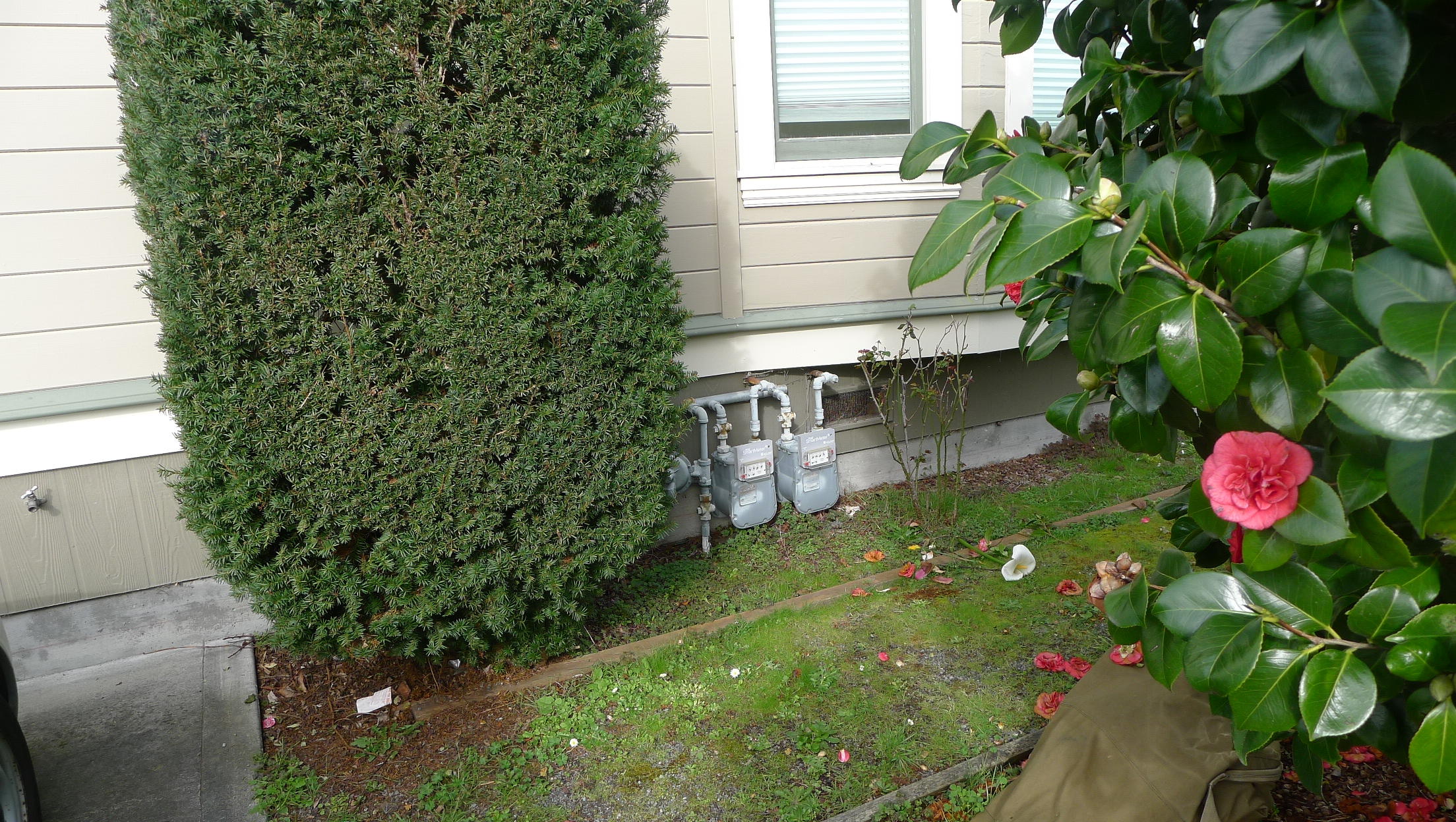 619 G Street Arcata, CA 95521 - Photo 12 of 15