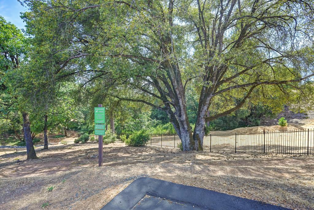 504 Chase Court Colfax, CA 95713 - Photo 92 of 94 a view of a yard with plants and trees