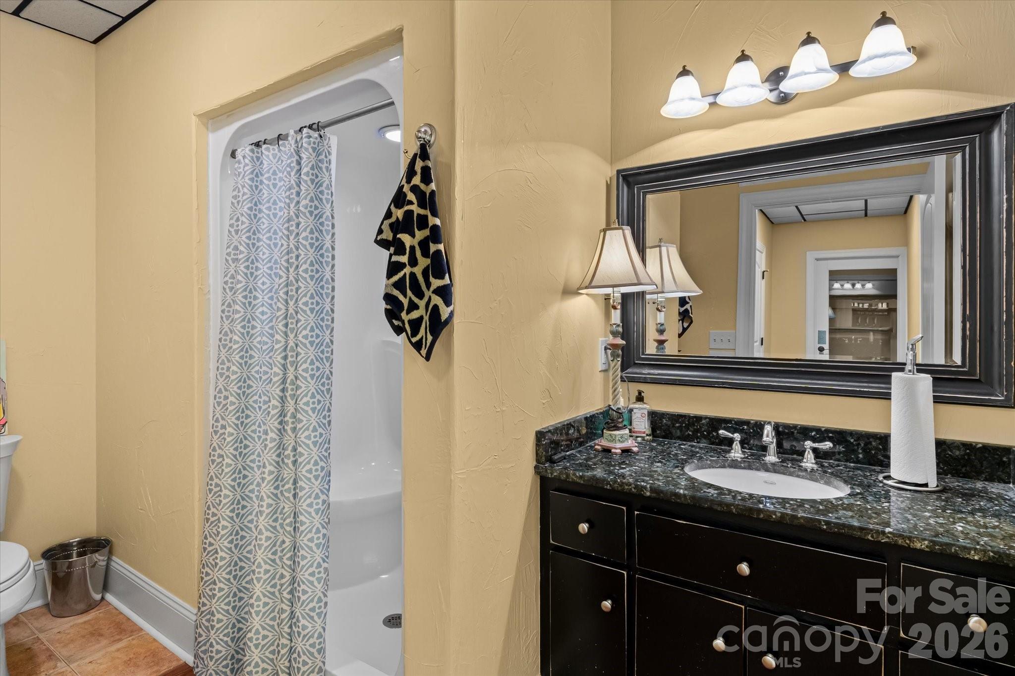 368 Players Ridge Road Hickory, NC 28601 - Photo 35 of 48 a bathroom with a granite countertop sink a mirror and shower