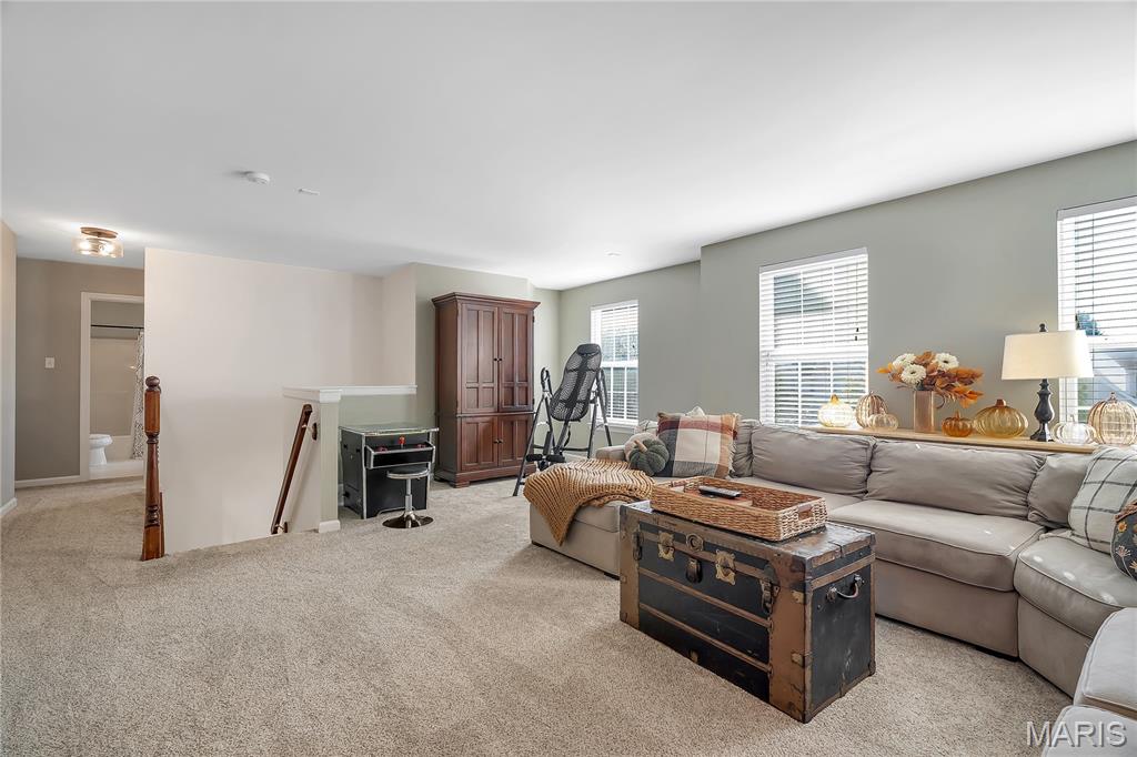 318 Copper Tree Court O'Fallon, MO 63368 - Photo 20 of 40