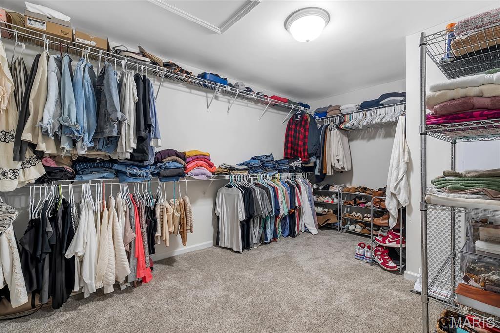 318 Copper Tree Court O'Fallon, MO 63368 - Photo 26 of 40