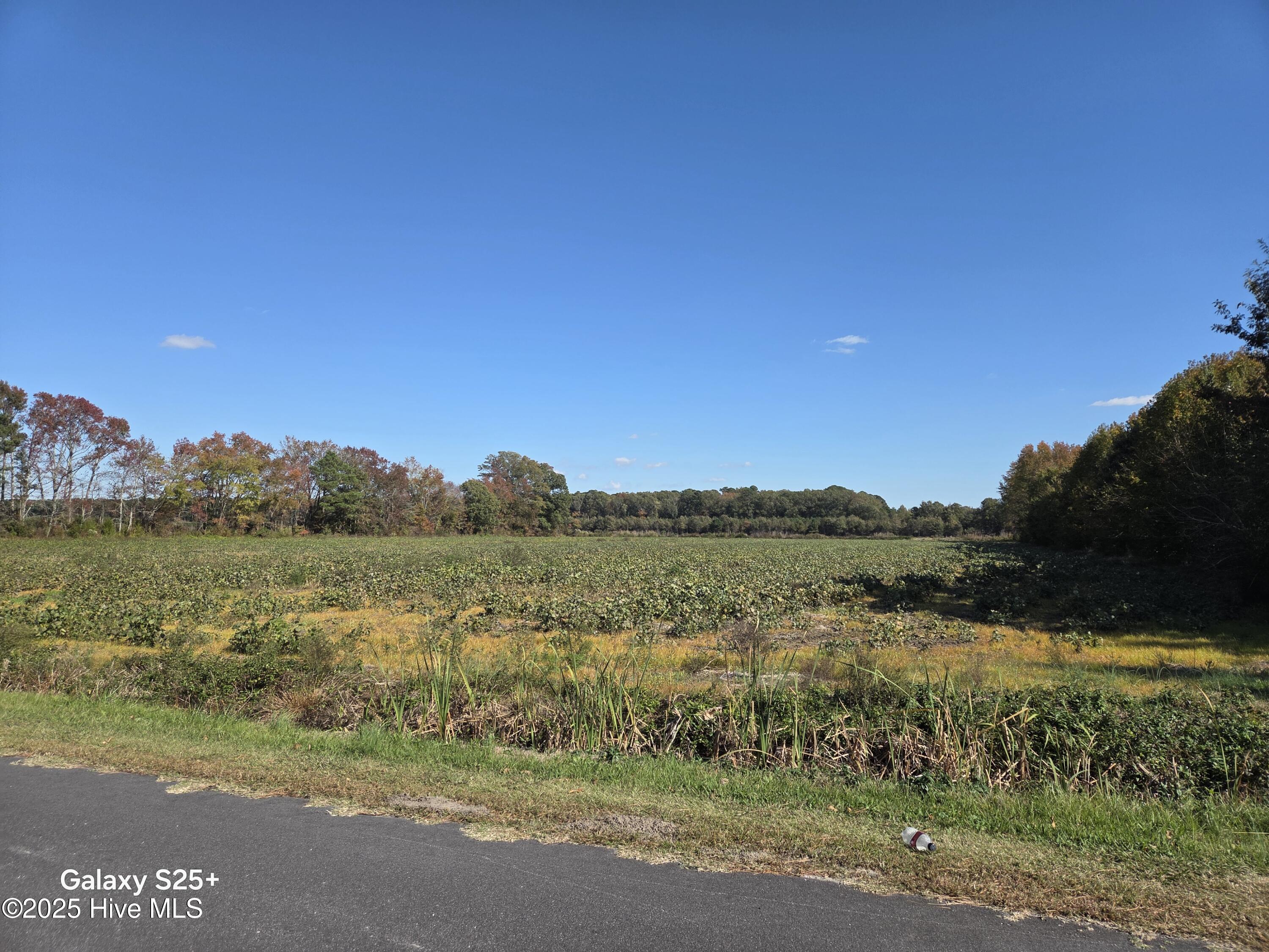 204 Whitemon Lane Edenton, NC 27932 - Photo 2 of 8 8031