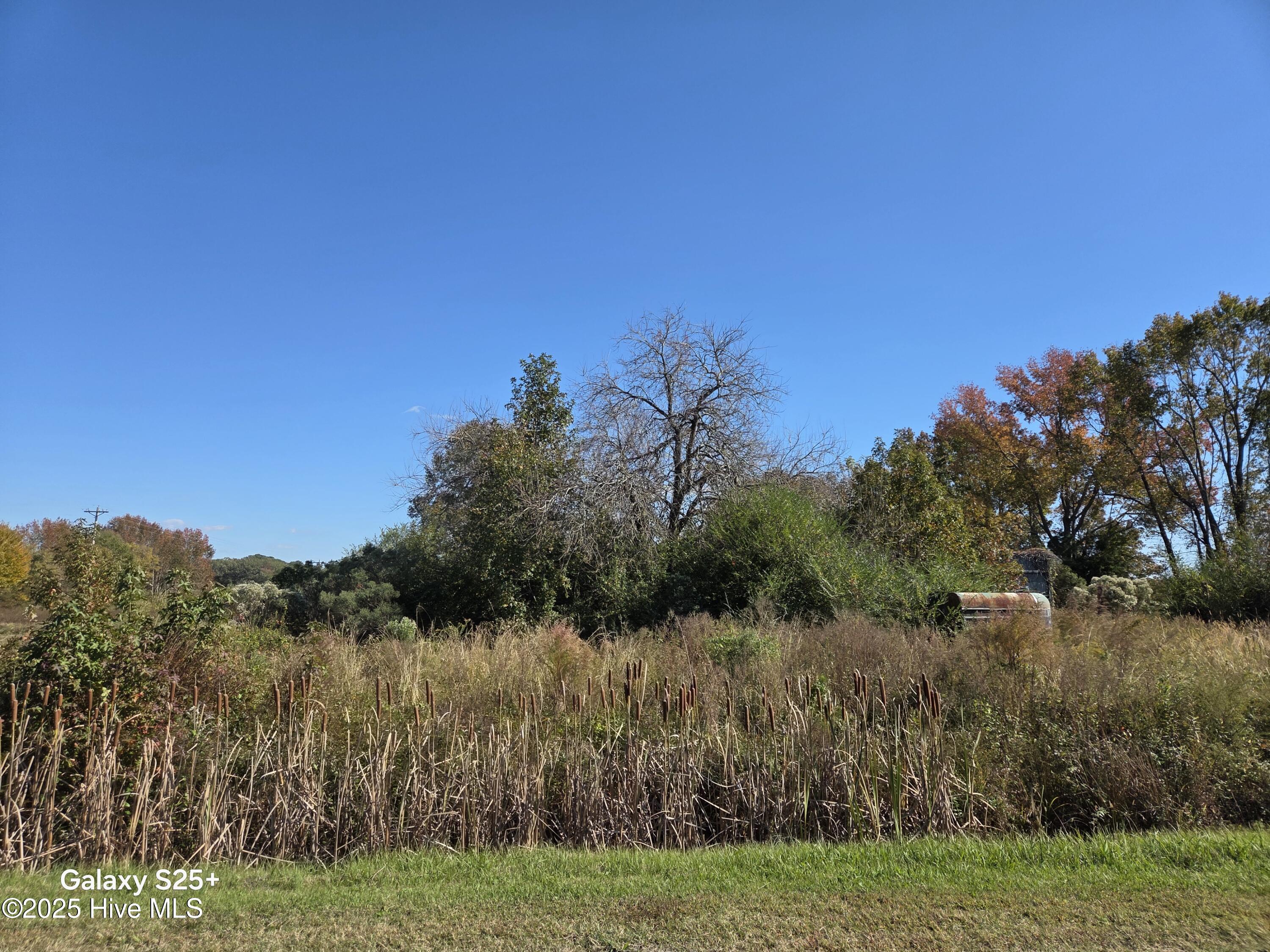 204 Whitemon Lane Edenton, NC 27932 - Photo 3 of 8 8035