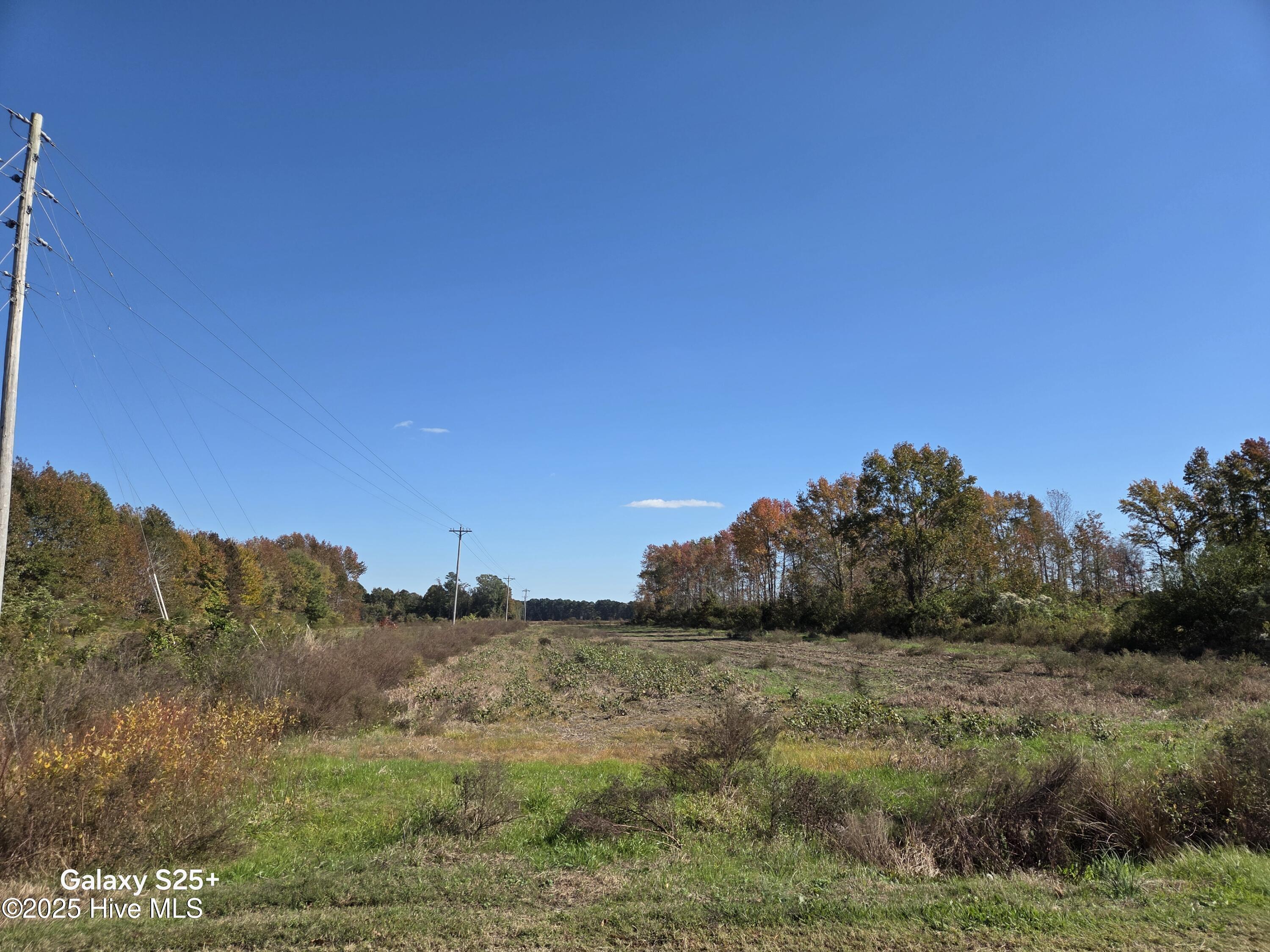 204 Whitemon Lane Edenton, NC 27932 - Photo 4 of 8 8034