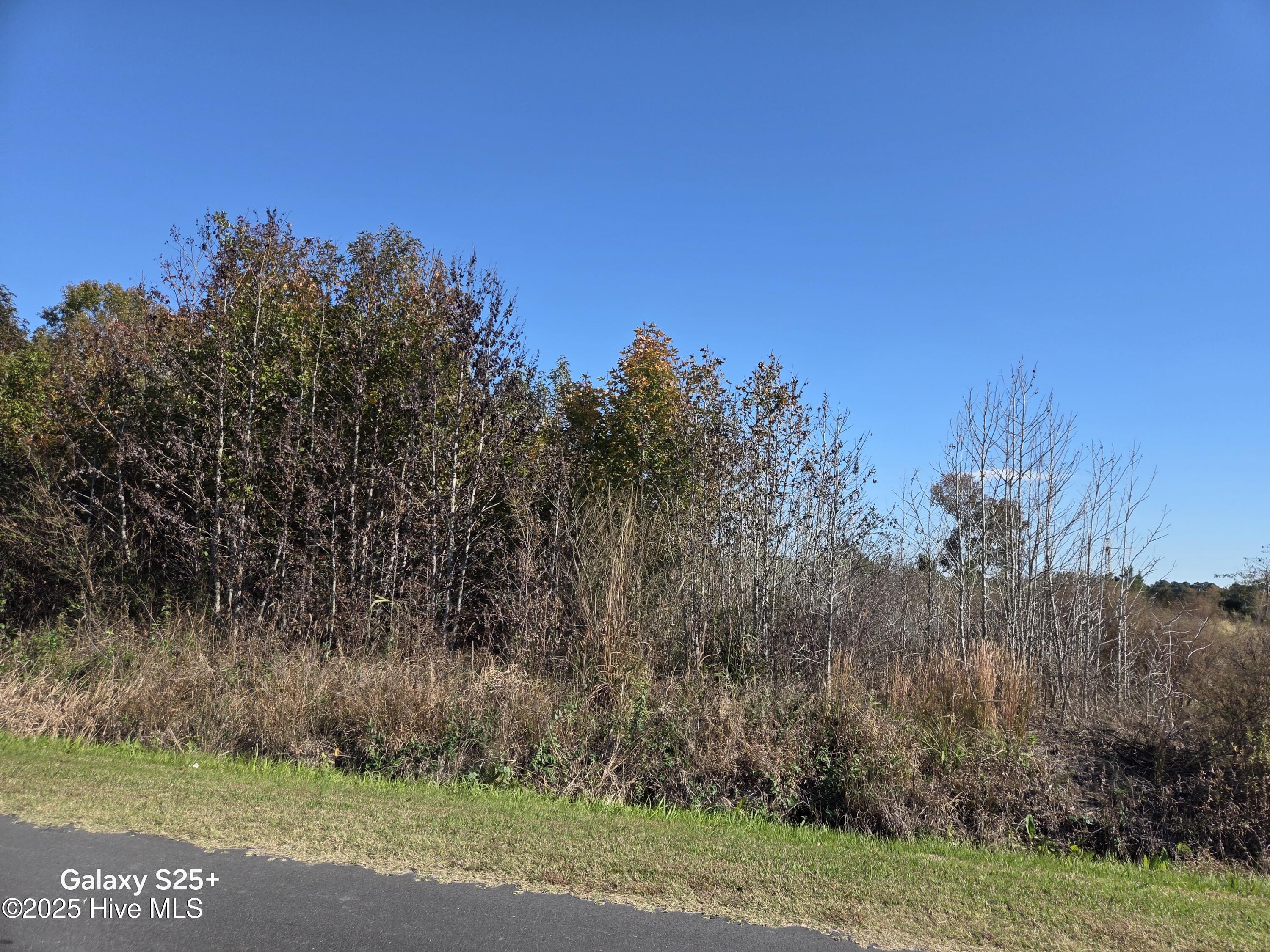 204 Whitemon Lane Edenton, NC 27932 - Photo 7 of 8 8040