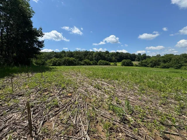 $549,000 | W8785 Highway 82, Elroy, WI 53929