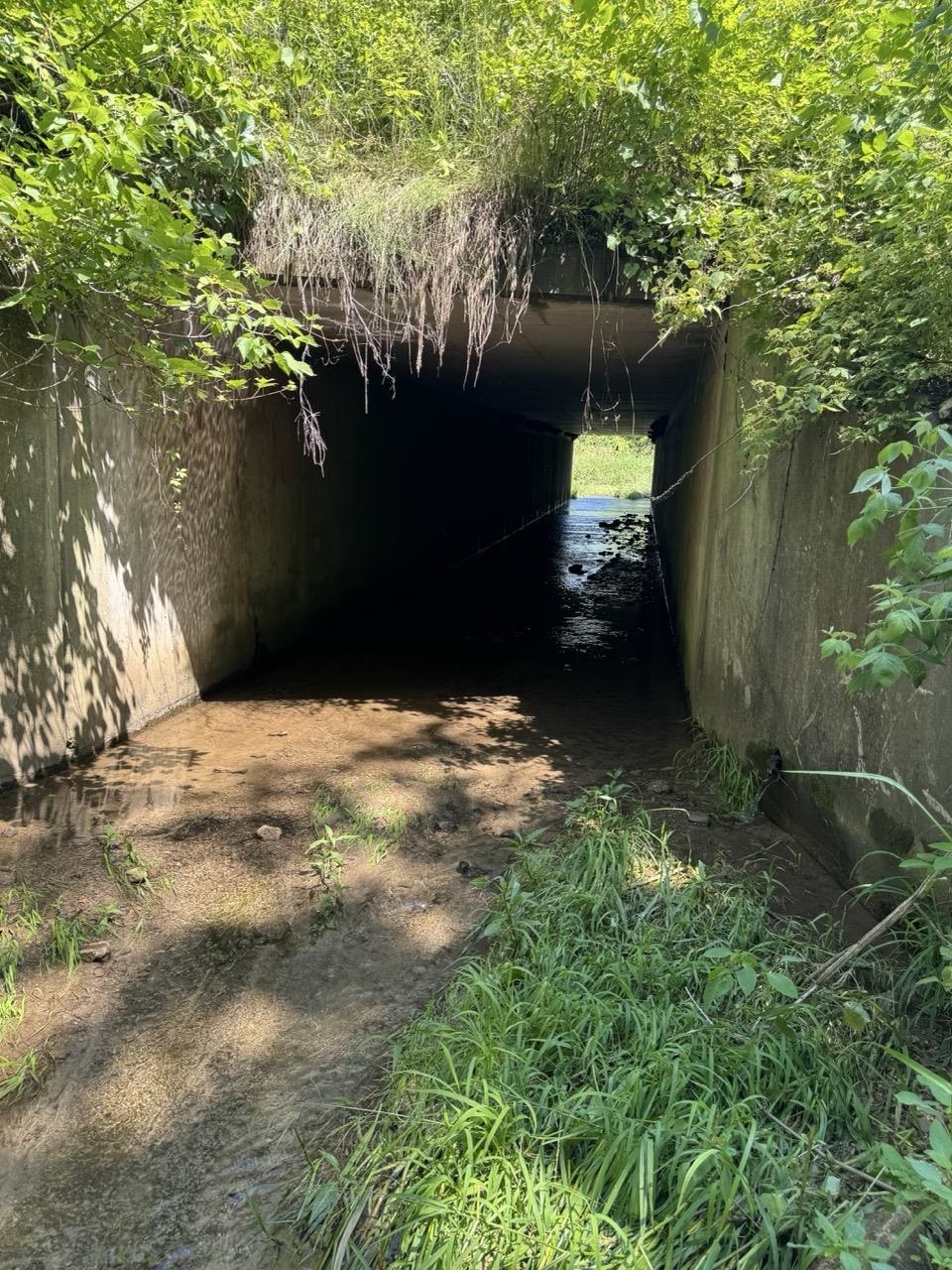 W8785 Highway 82 Elroy, WI 53929 - Photo 18 of 57