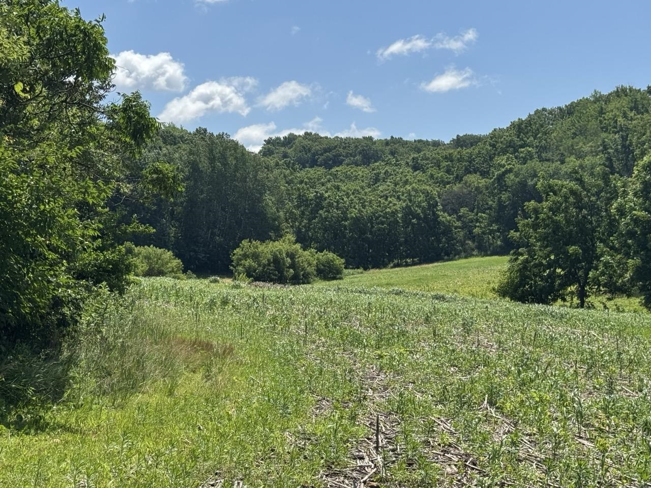 W8785 Highway 82 Elroy, WI 53929 - Photo 2 of 57