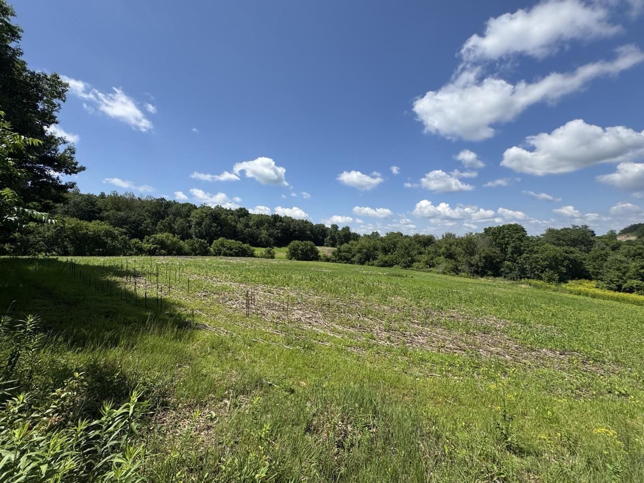 W8785 Highway 82 Elroy, WI 53929 - Photo 28 of 57