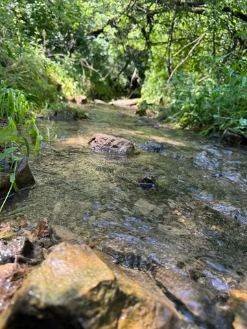 $549,000 | W8785 Highway 82, Elroy, WI 53929