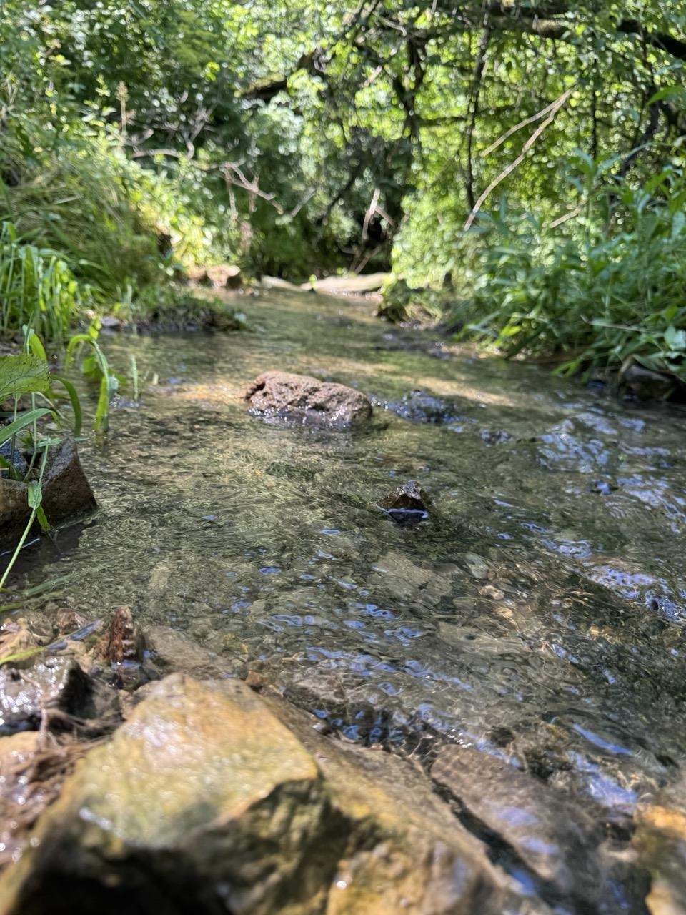 W8785 Highway 82 Elroy, WI 53929 - Photo 30 of 57