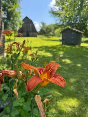 $549,000 | W8785 Highway 82, Elroy, WI 53929