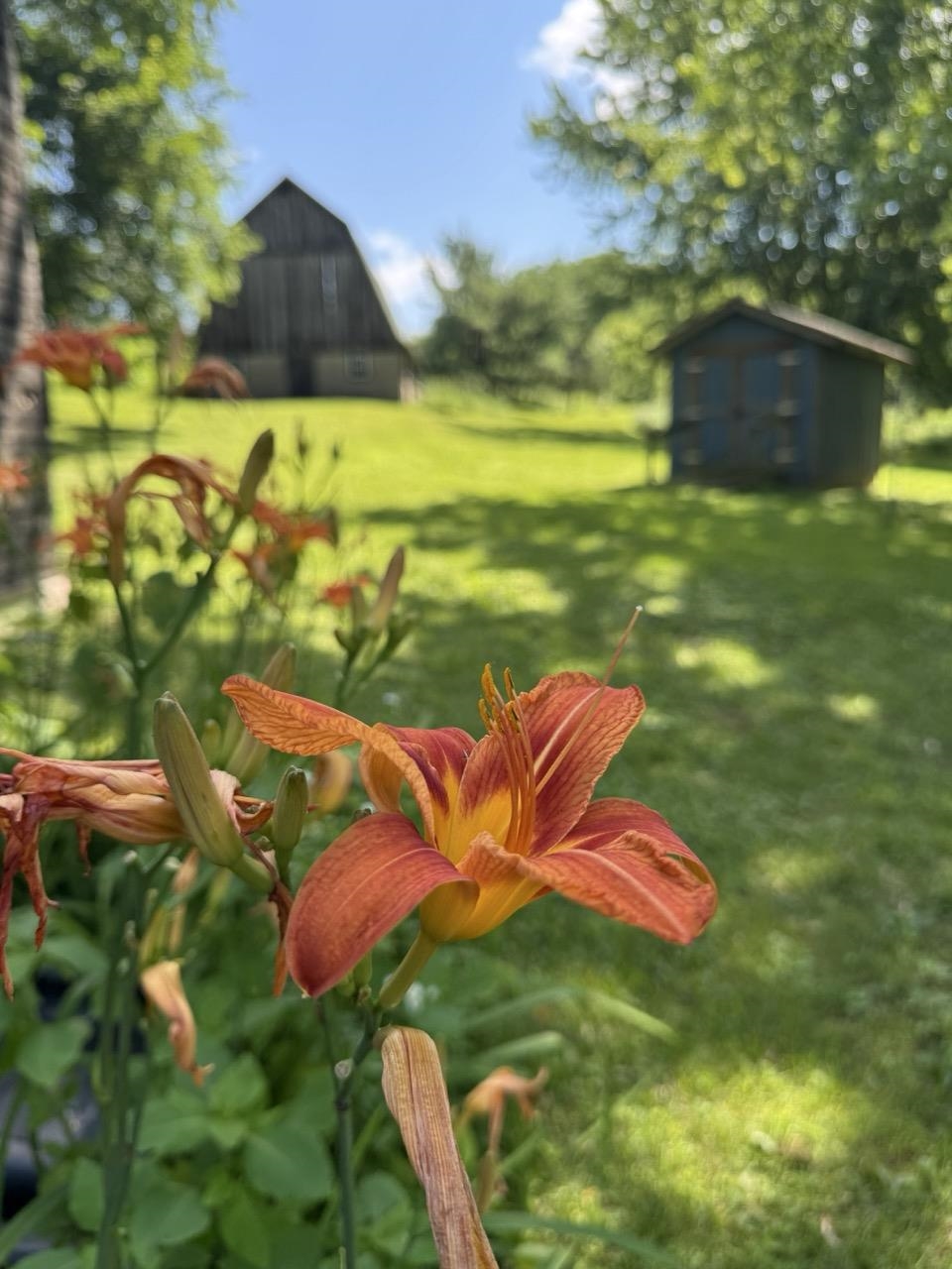 W8785 Highway 82 Elroy, WI 53929 - Photo 3 of 57