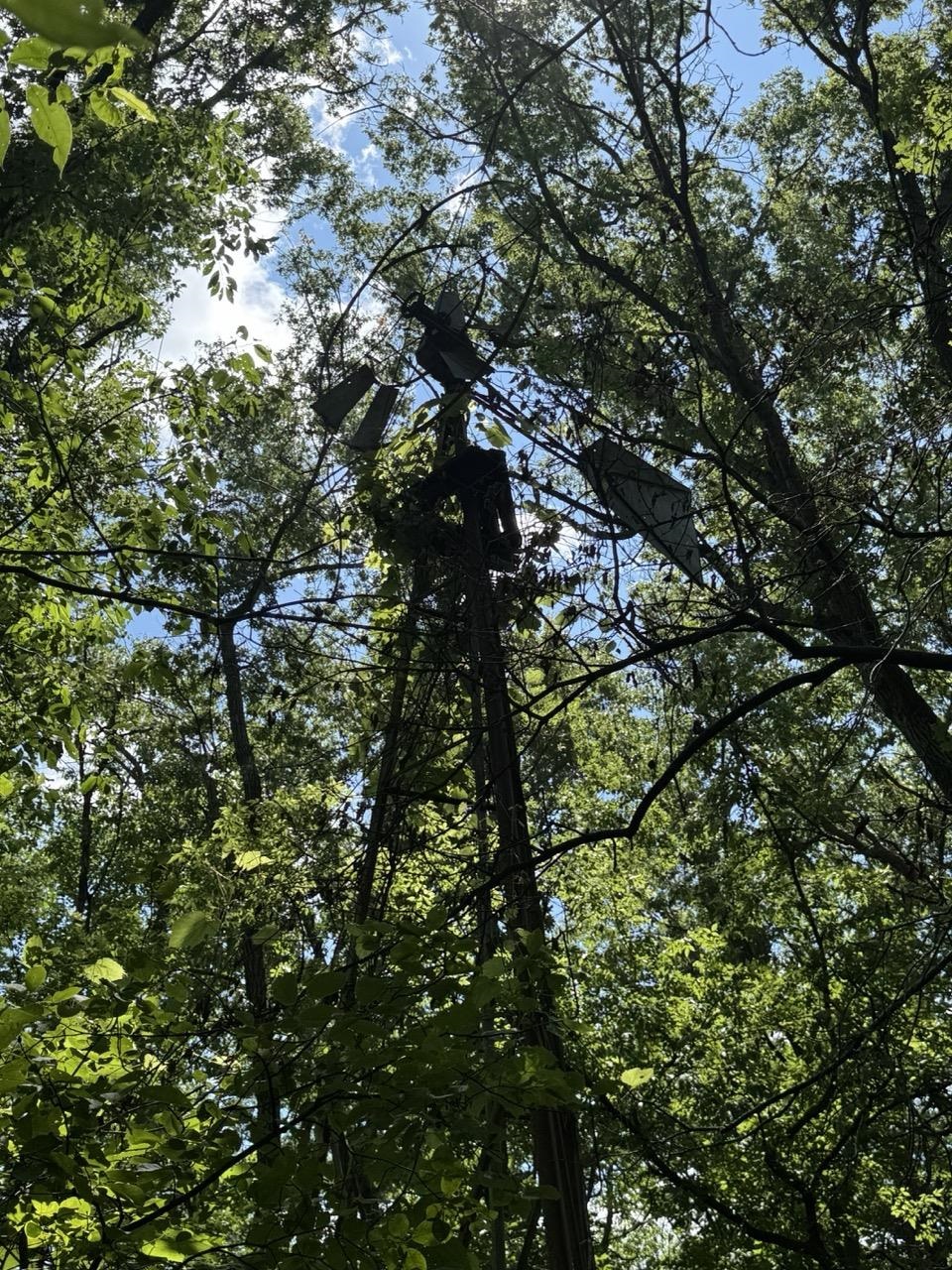 W8785 Highway 82 Elroy, WI 53929 - Photo 6 of 57