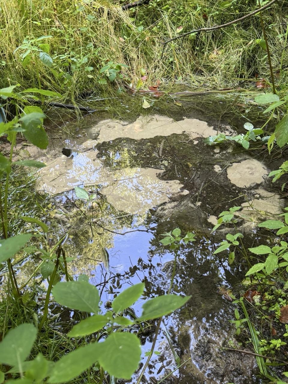 W8785 Highway 82 Elroy, WI 53929 - Photo 9 of 57