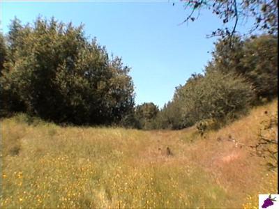 0 Lot 816 Dunlap Road Squaw Valley, CA 93675 - Photo 3 of 7 Gallery Image 3