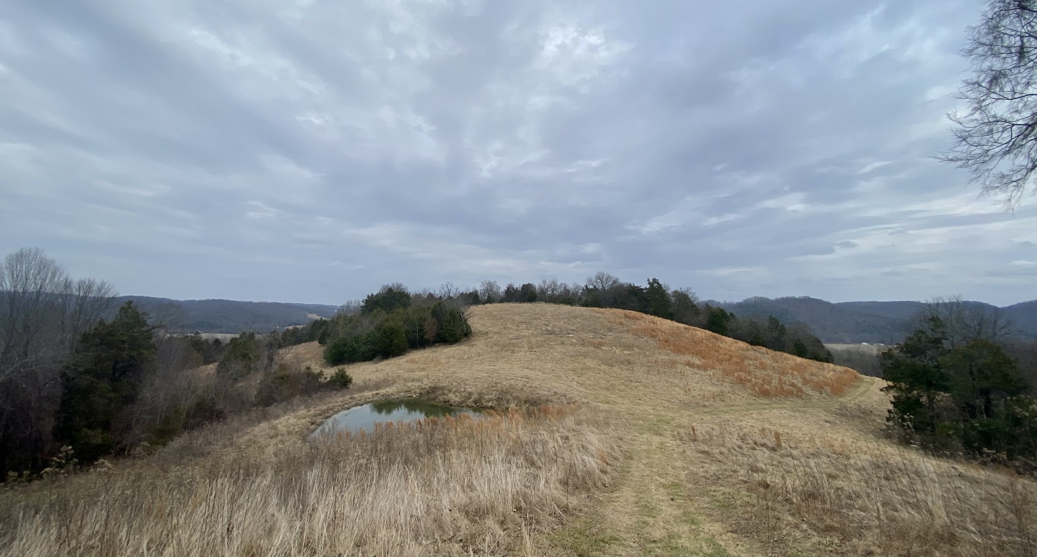 2 Oakley Road Liberty, TN 37095 - Photo 2 of 3 a view of a dry yard with mountains in the background