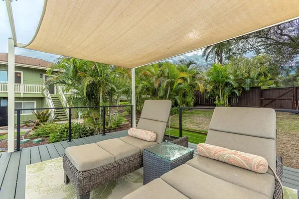 a view of a patio with couches plants and large tree
