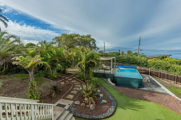 a view of a backyard with plants