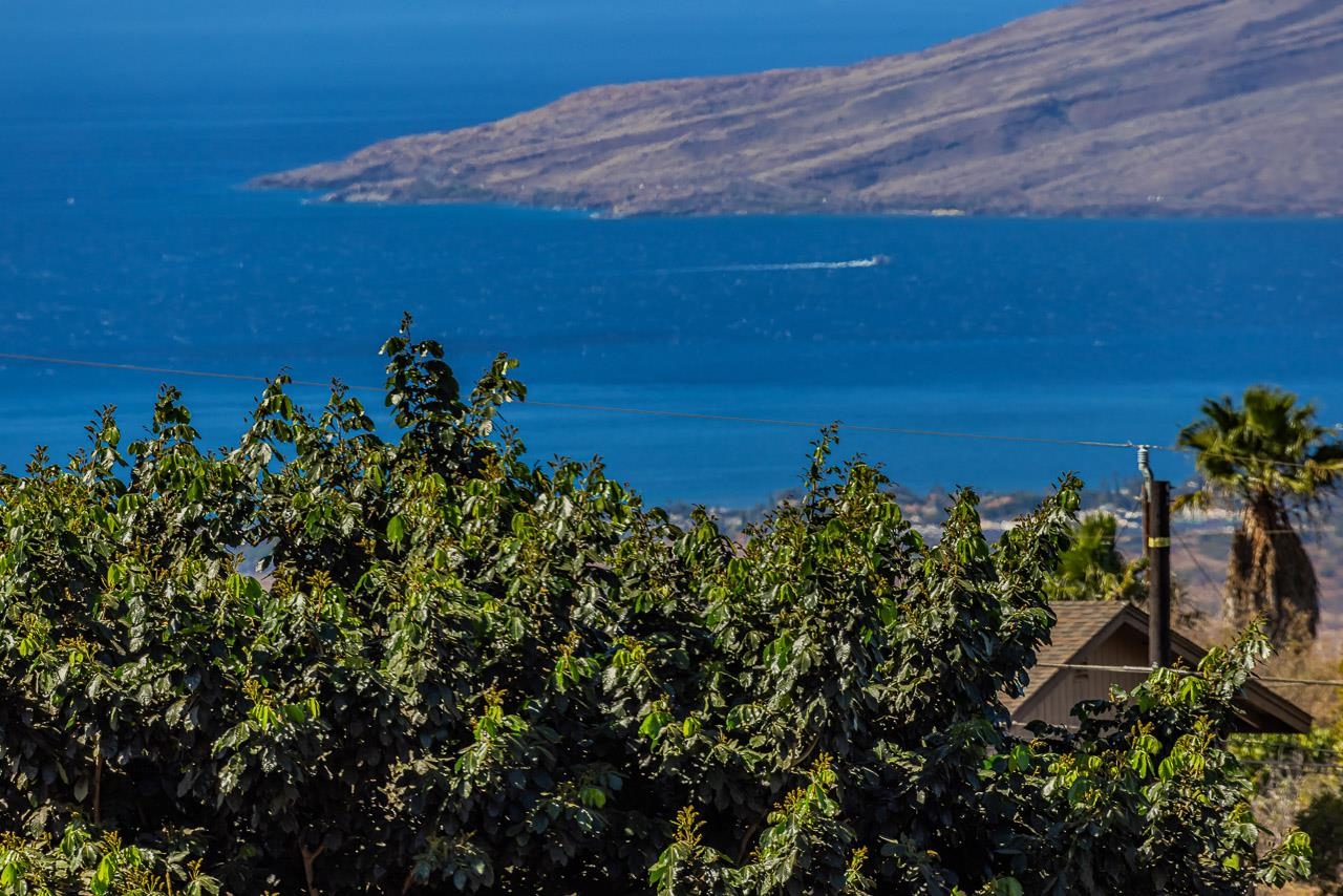 1350 Naalae Road Kula, HI 96790 - Photo 39 of 50 a view of a lake