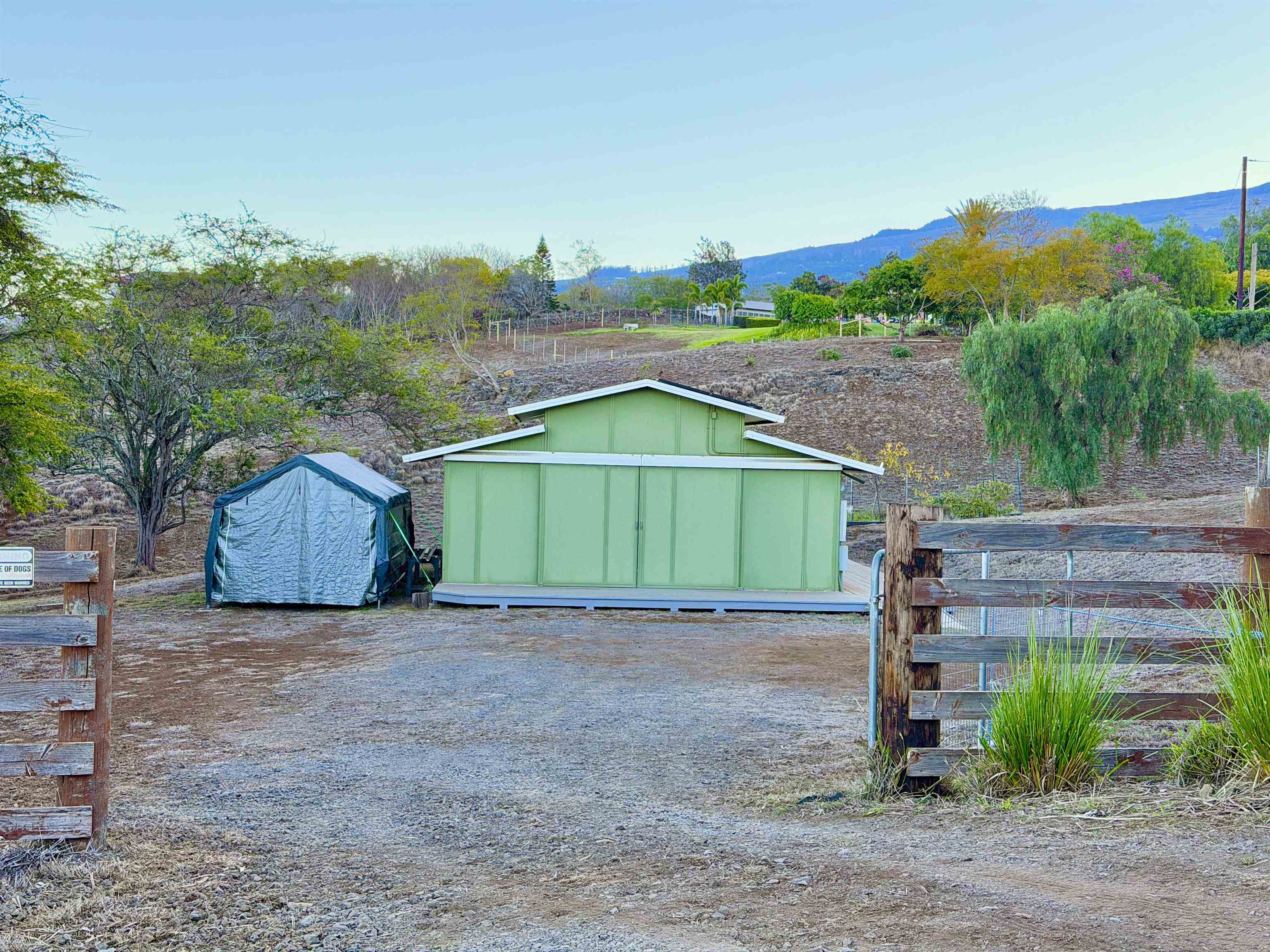 1350 Naalae Road Kula, HI 96790 - Photo 45 of 50 a backyard of a house with lots of green space