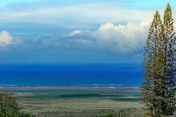 a living room with furniture a rug and a large window