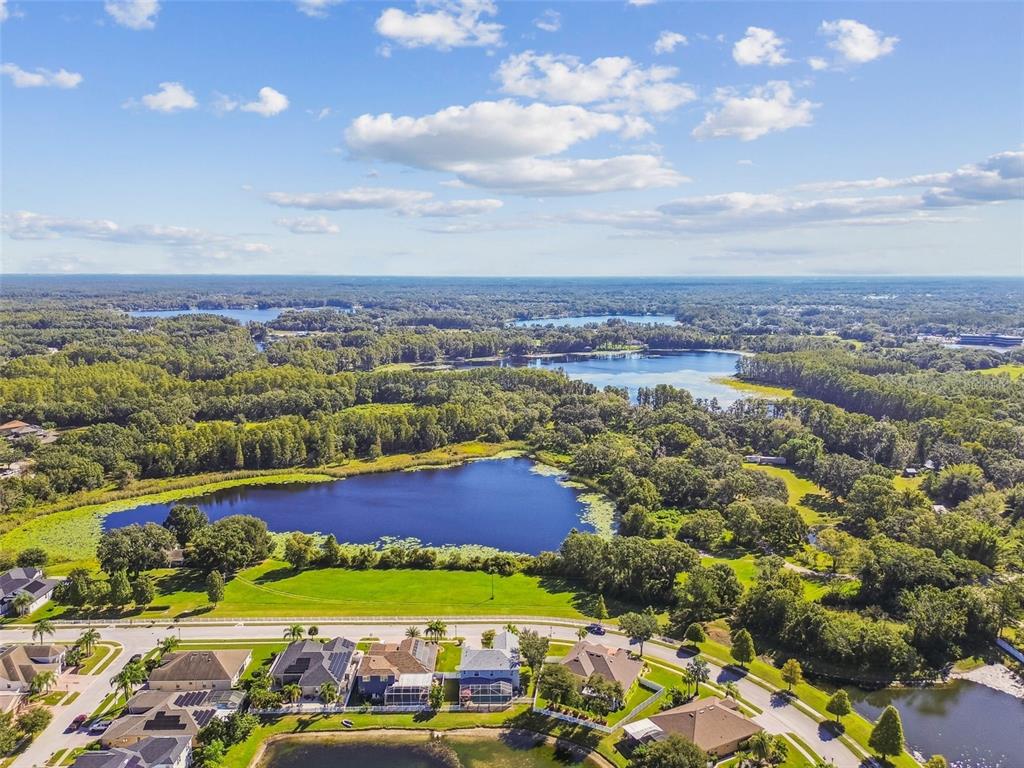 4603 Walnut Ridge Road Land O' Lakes, FL 34638 - Photo 81 of 95 Gallery Image 81