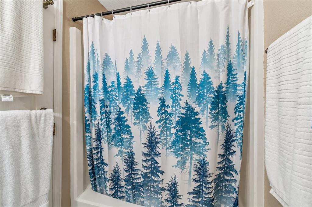 229 Red Maple Place Brandon, FL 33510 - Photo 18 of 45 a close up of a plant