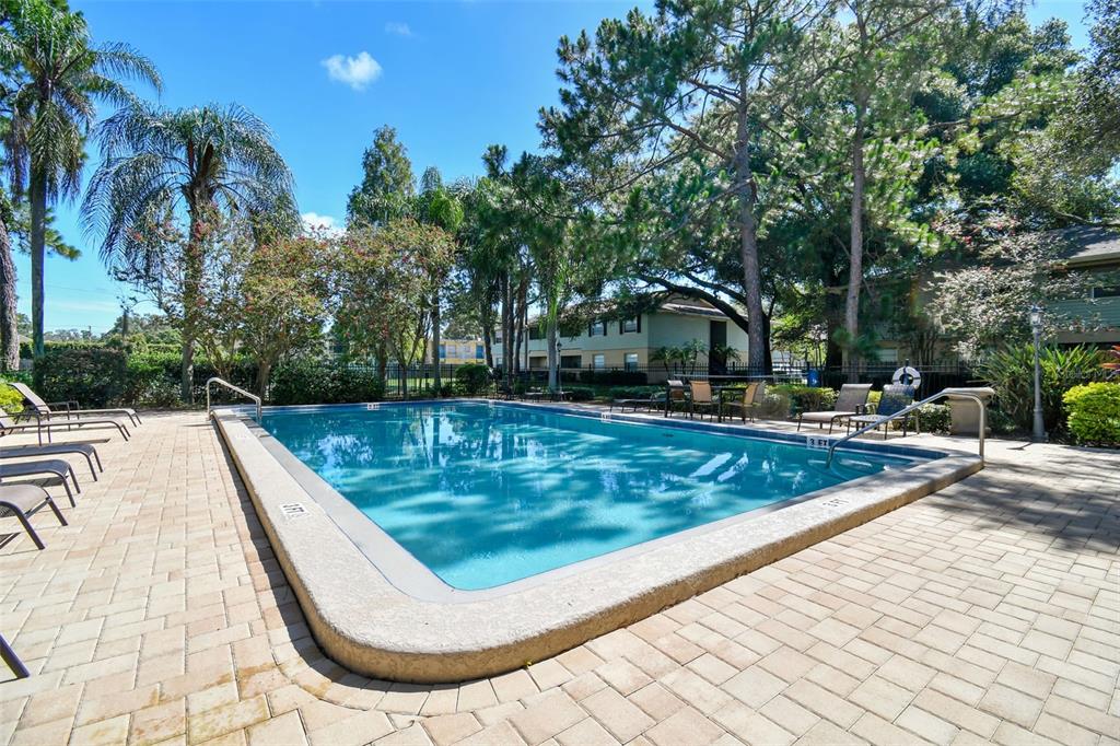 229 Red Maple Place Brandon, FL 33510 - Photo 33 of 45 a view of a swimming pool with a patio
