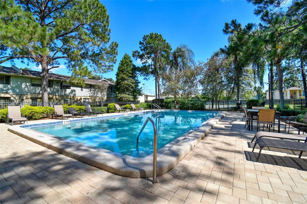 229 Red Maple Place Brandon, FL 33510 - Photo 34 of 45 a view of a swimming pool with a patio