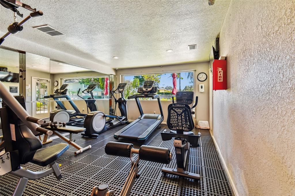 229 Red Maple Place Brandon, FL 33510 - Photo 38 of 45 a view of a room with gym equipment