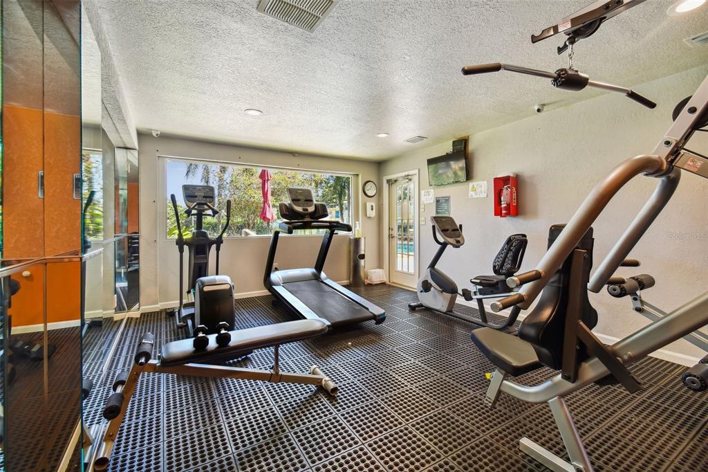 229 Red Maple Place Brandon, FL 33510 - Photo 39 of 45 a view of a room with gym equipment