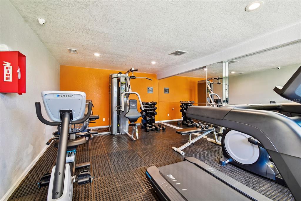 229 Red Maple Place Brandon, FL 33510 - Photo 40 of 45 a room with furniture a rug and a window