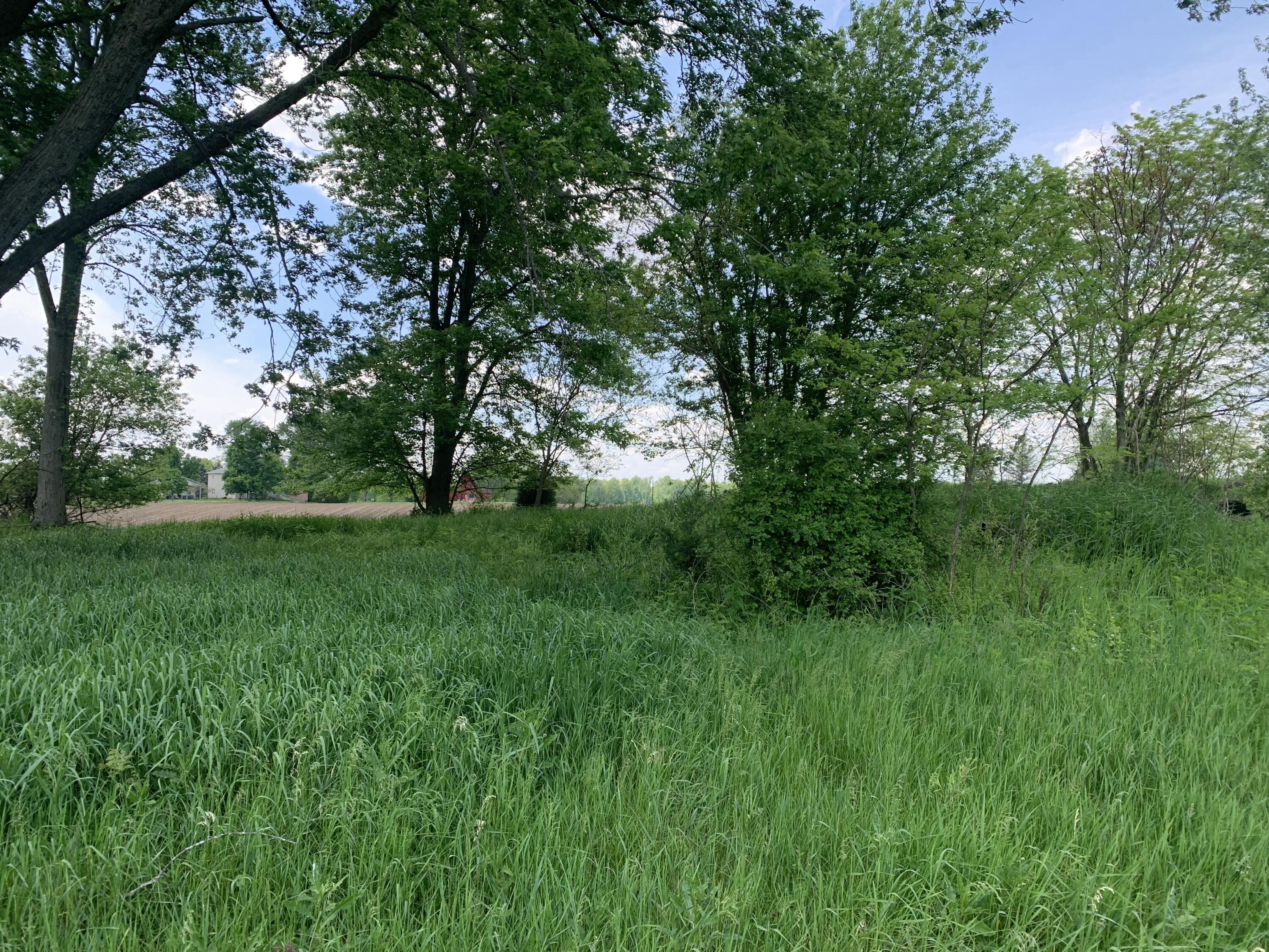 Brink Road Bronson, MI 49028 - Photo 4 of 6 26A5CE33-69C8-498F-884E-F5970AD32846