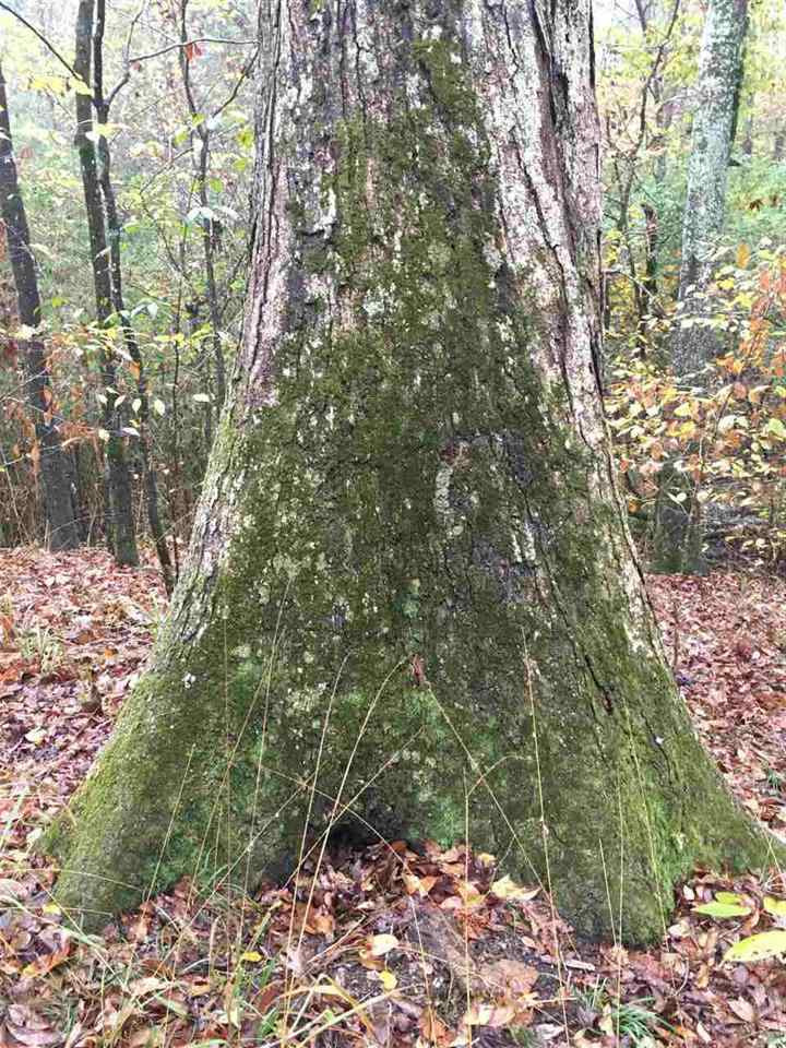 0 Six Mile Road Crystal Springs, MS 39059 - Photo 1 of 24 Photo 1