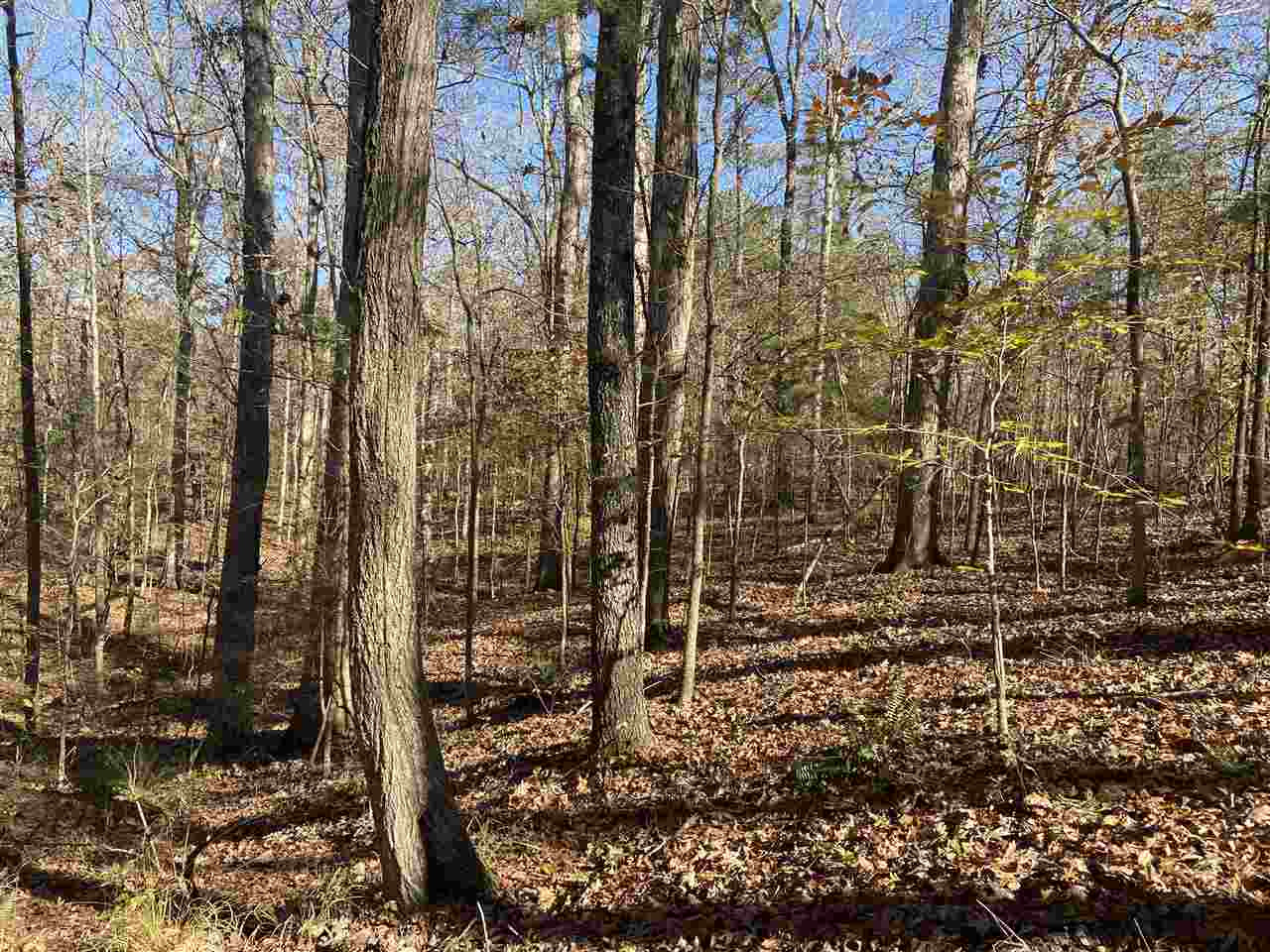 0 Six Mile Road Crystal Springs, MS 39059 - Photo 7 of 24 Photo 7