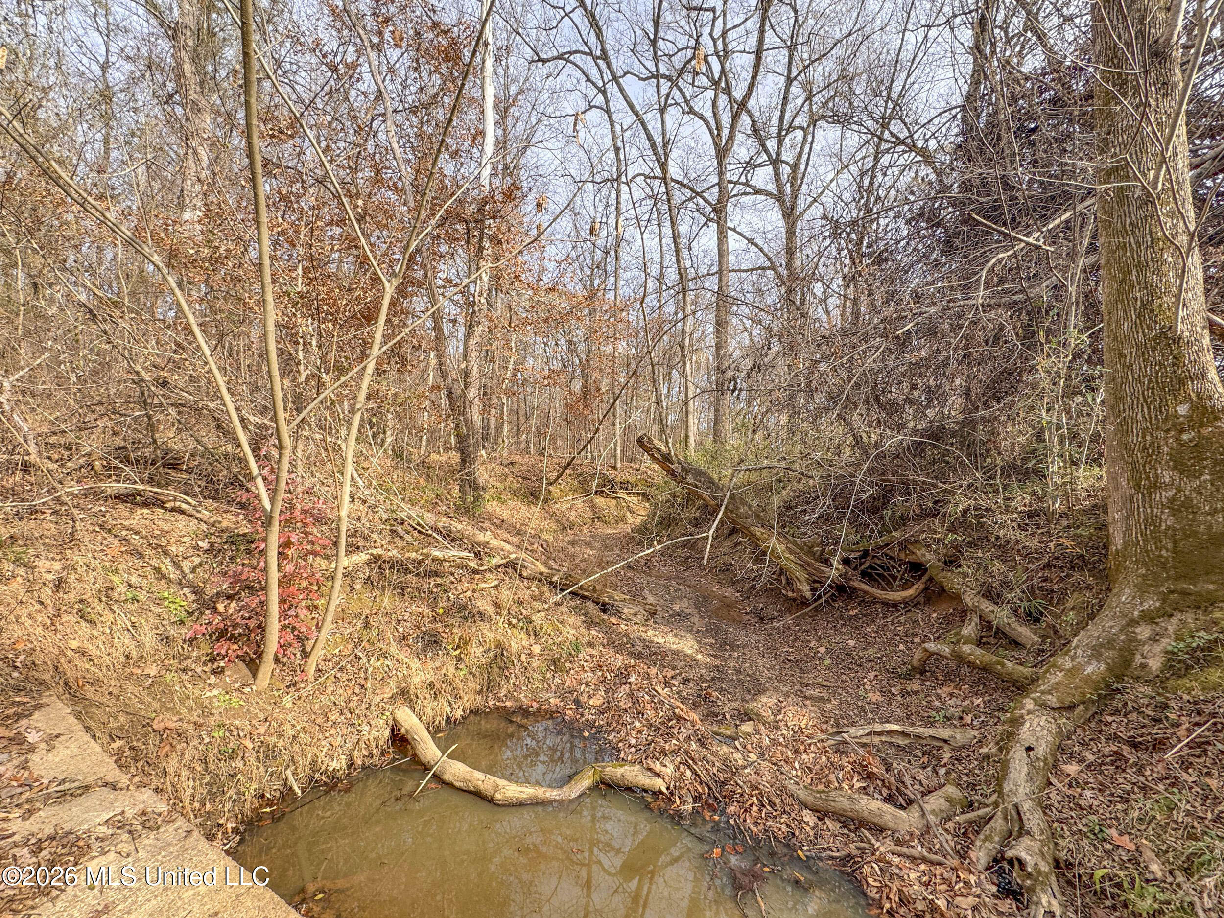 Chinqupin Road Lexington, MS 39095 - Photo 124 of 210 9chqpn22