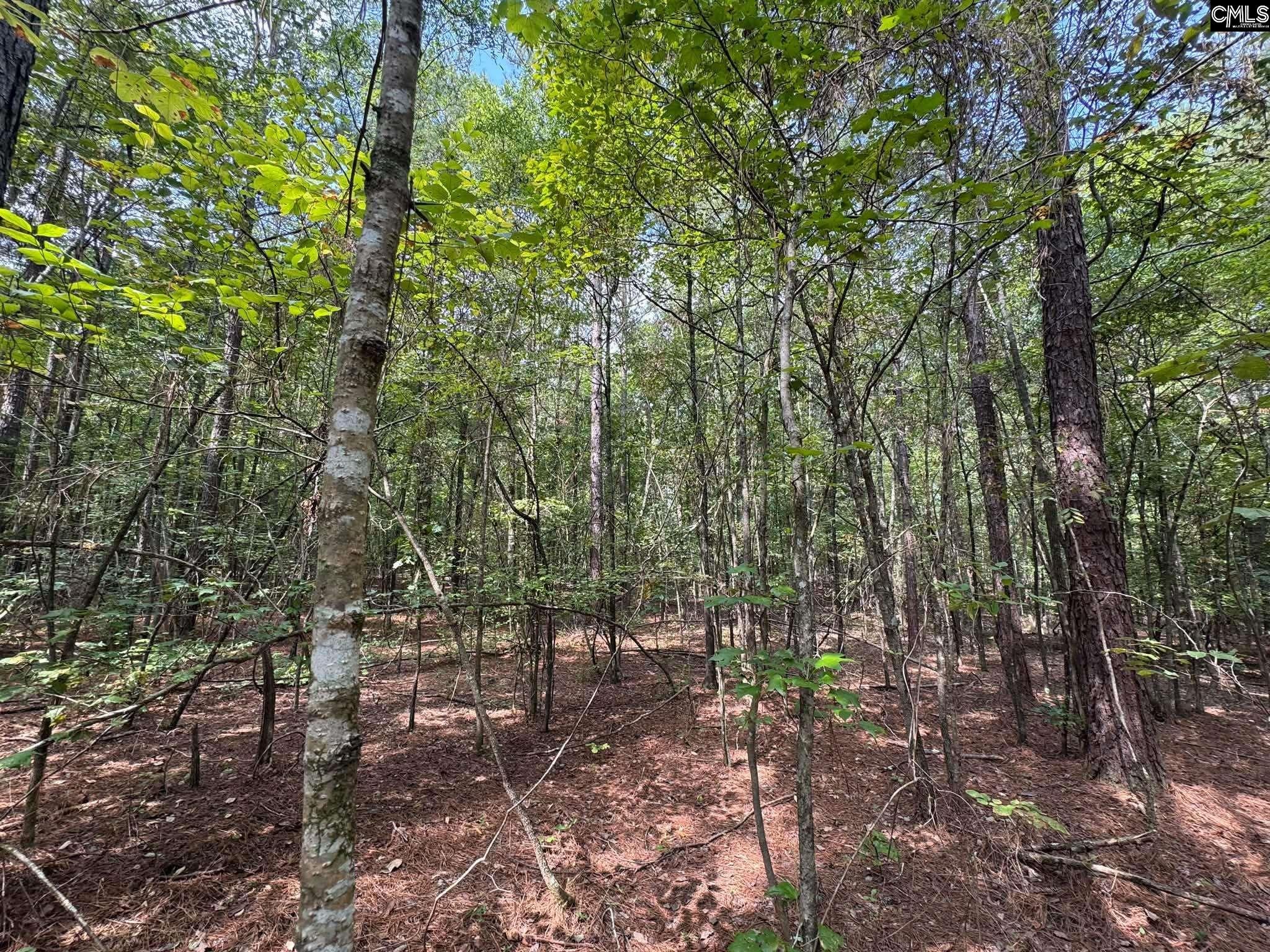 Pencreek Road Johnston, SC 29832 - Photo 44 of 59 Gallery Image 44