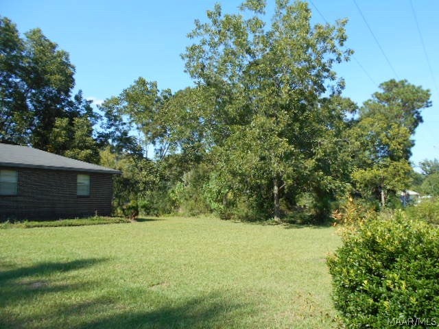 2103 Coffee Springs Road Samson, AL 36477 - Photo 2 of 16 Gallery Image 2