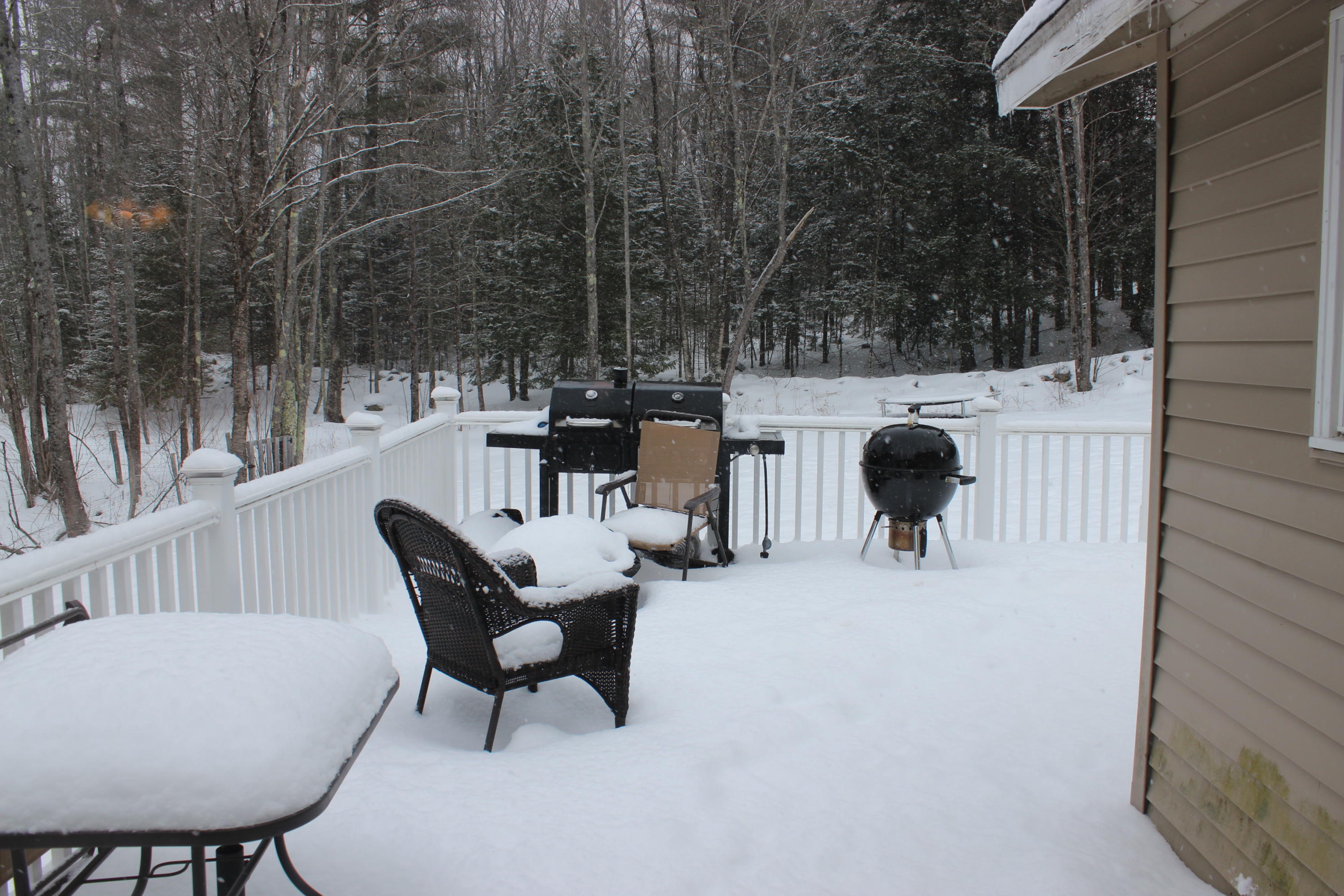 169 Webster Road Lisbon, ME 04250 - Photo 3 of 29 IMG_9089