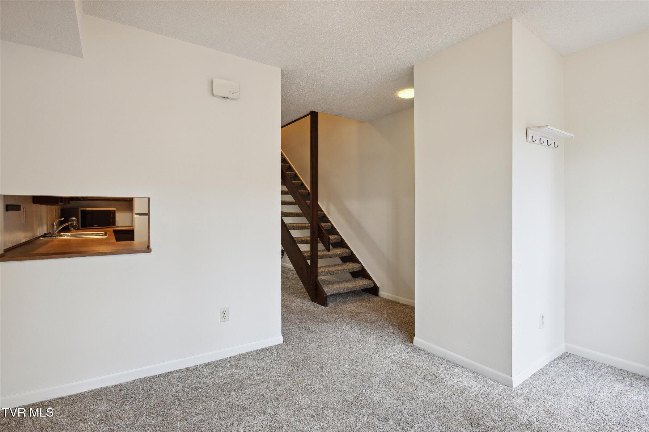115 Beechnut Street, Unit B4 Johnson City, TN 37601 - Photo 3 of 20 06-115-Beechnut-St-Johnson-City-TN-37601
